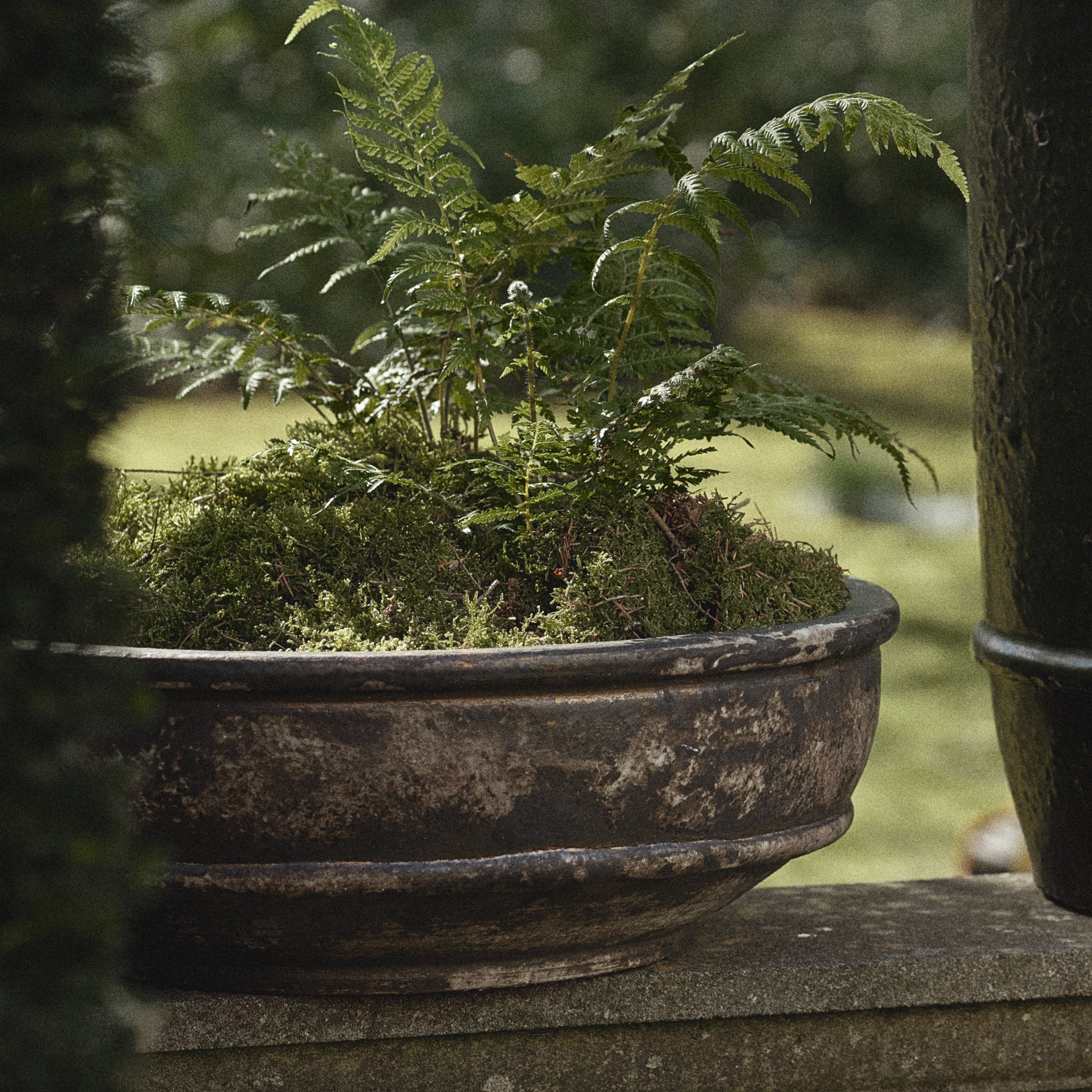 S434 ヨルゲンセン&モルク オーバルボウル ボート パテ・ド・ヴェール Planter Bowl - S | Kelly Wearstler