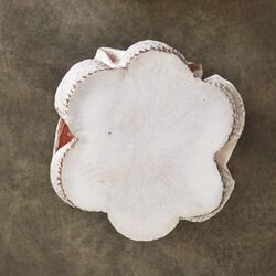 Terra Drinks Table IL
