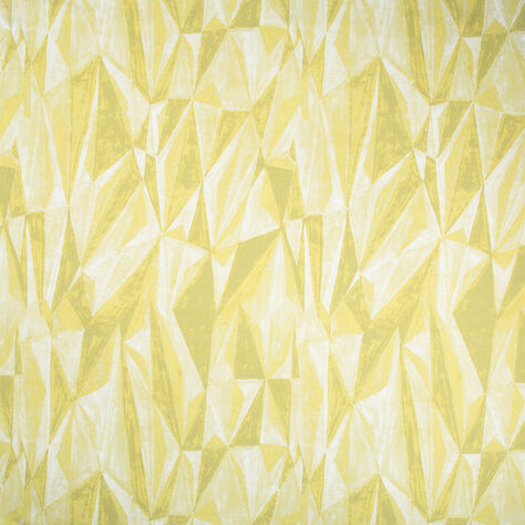 COVET FABRIC