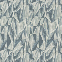 COVET FABRIC