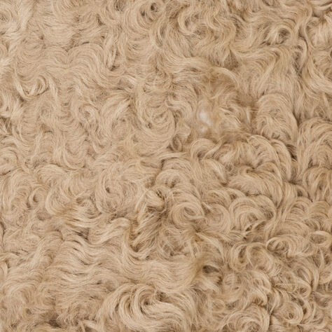 BOMBSHELL SHEARLING -HIDE