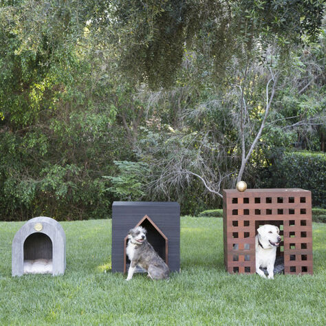 AVANT DOG HOUSE
