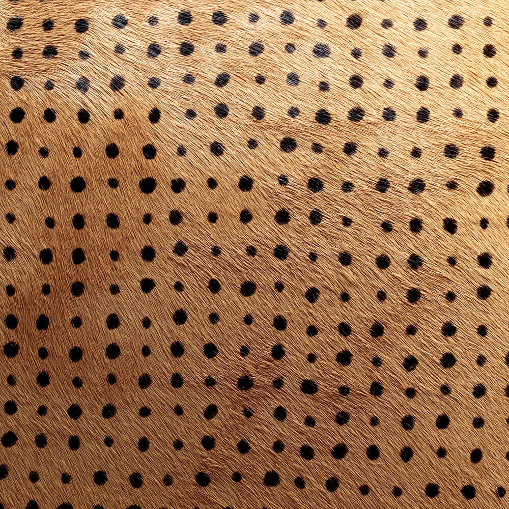 ELLIOTT CHAIR