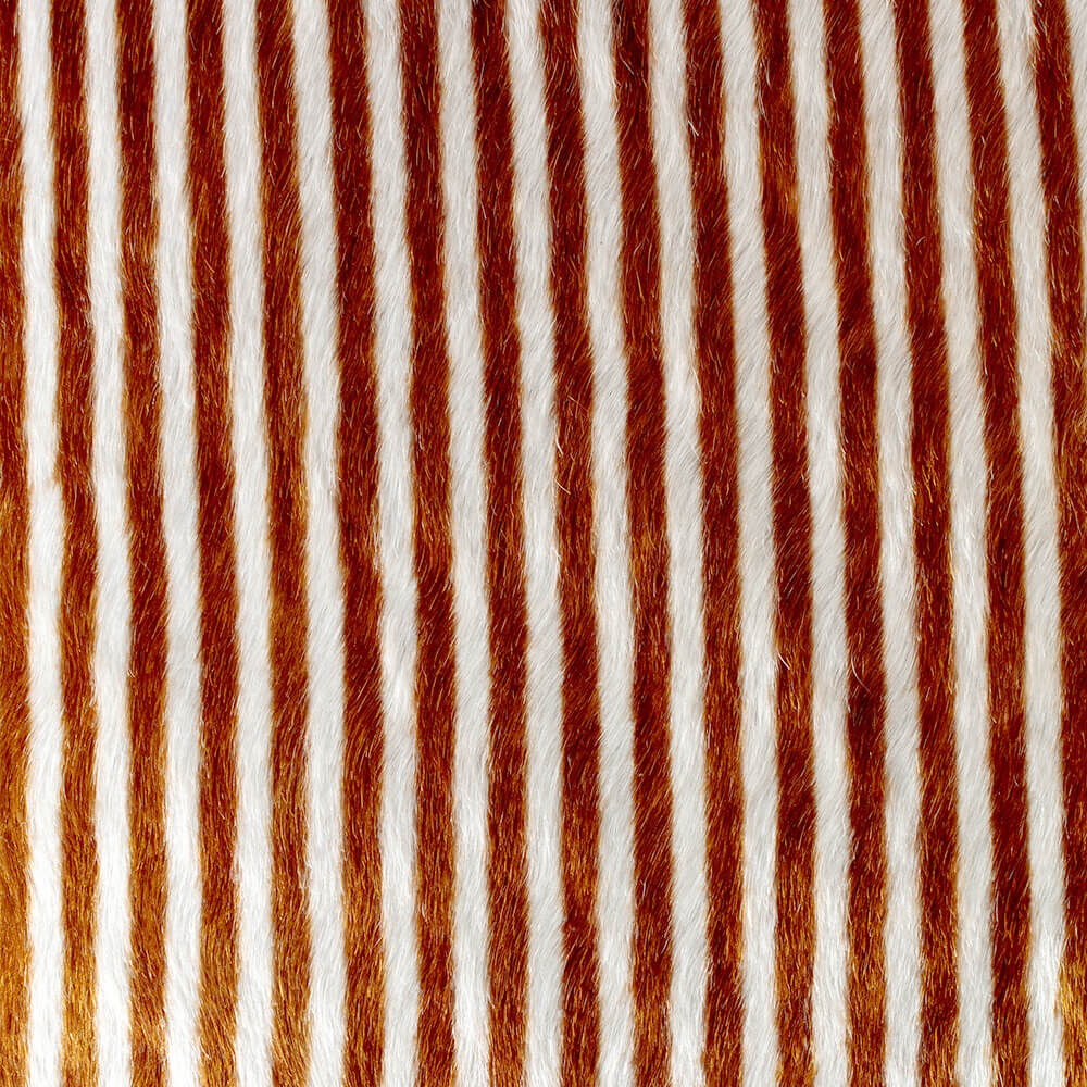 ELLIOTT CHAIR