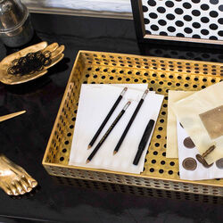 PRECISION TRAY