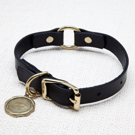 LIAISON DOG COLLAR & TAG MEDIUM