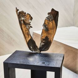 Paragon Chair