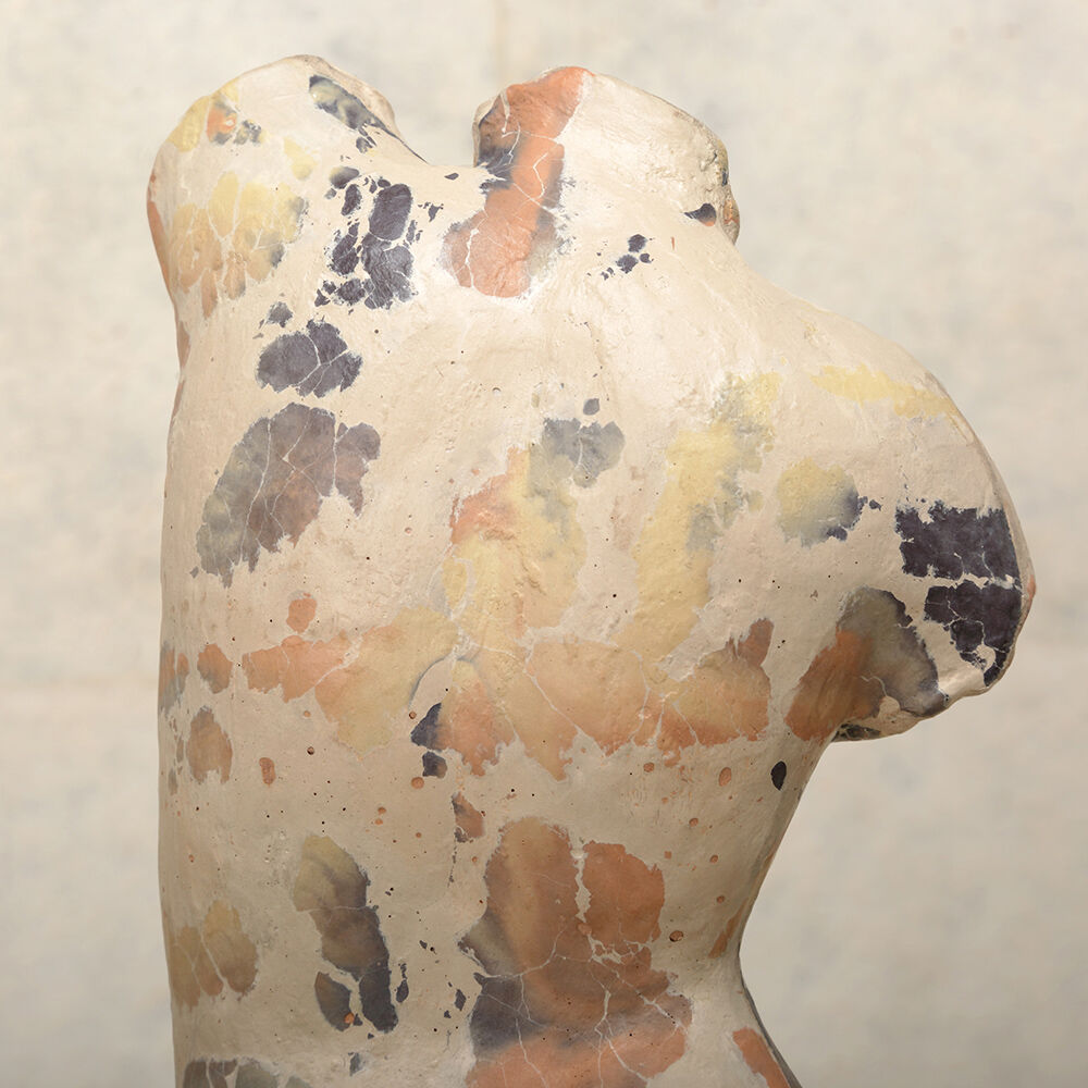 RARITY FEMALE TORSO