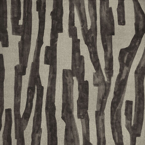 Intargia
