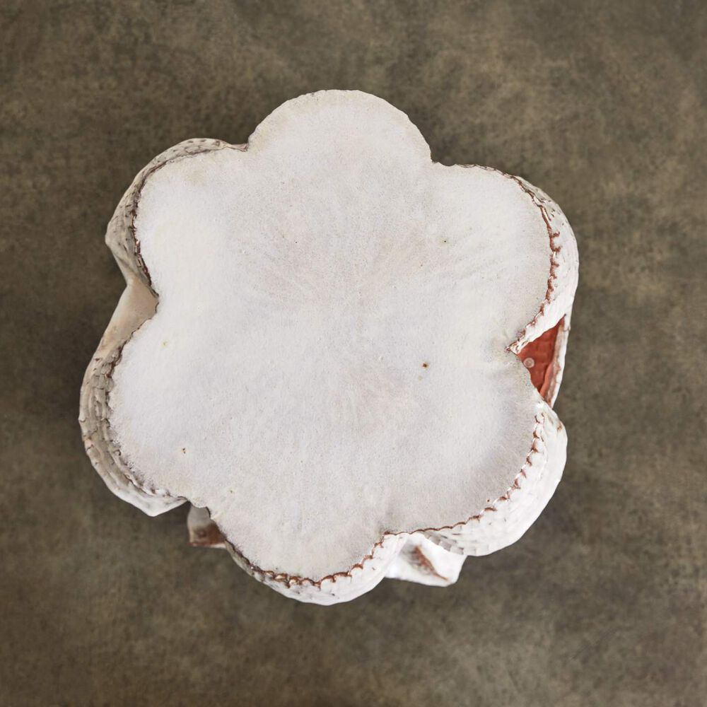 Terra Drinks Table I