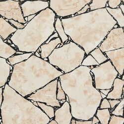 Xenolith - Coffee Table Il