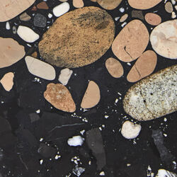 Xenolith - Coffee Table Il