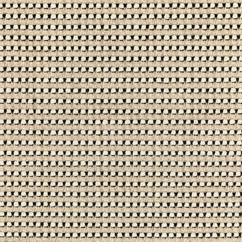 RISUS FABRIC