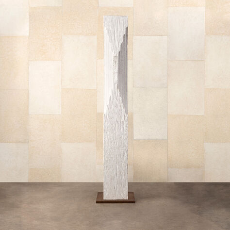 ECHO TOTEM