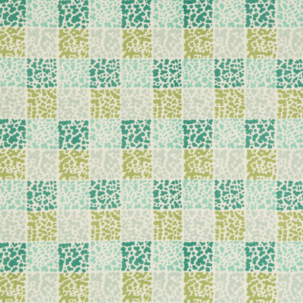 DASH FABRIC
