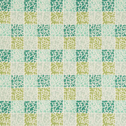 DASH FABRIC