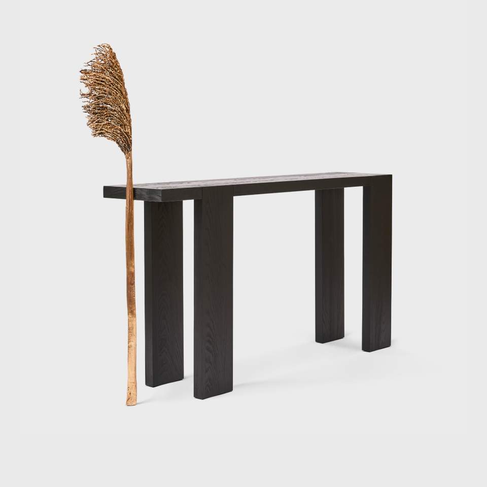 Phoenix Console