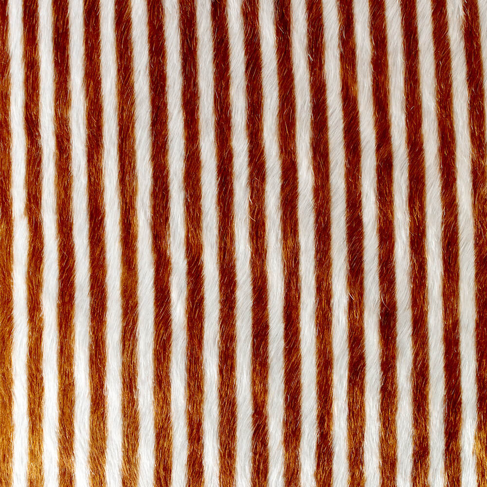 ELLIOTT CHAIR image number 7