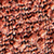 boucle spice
