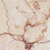 rosalia