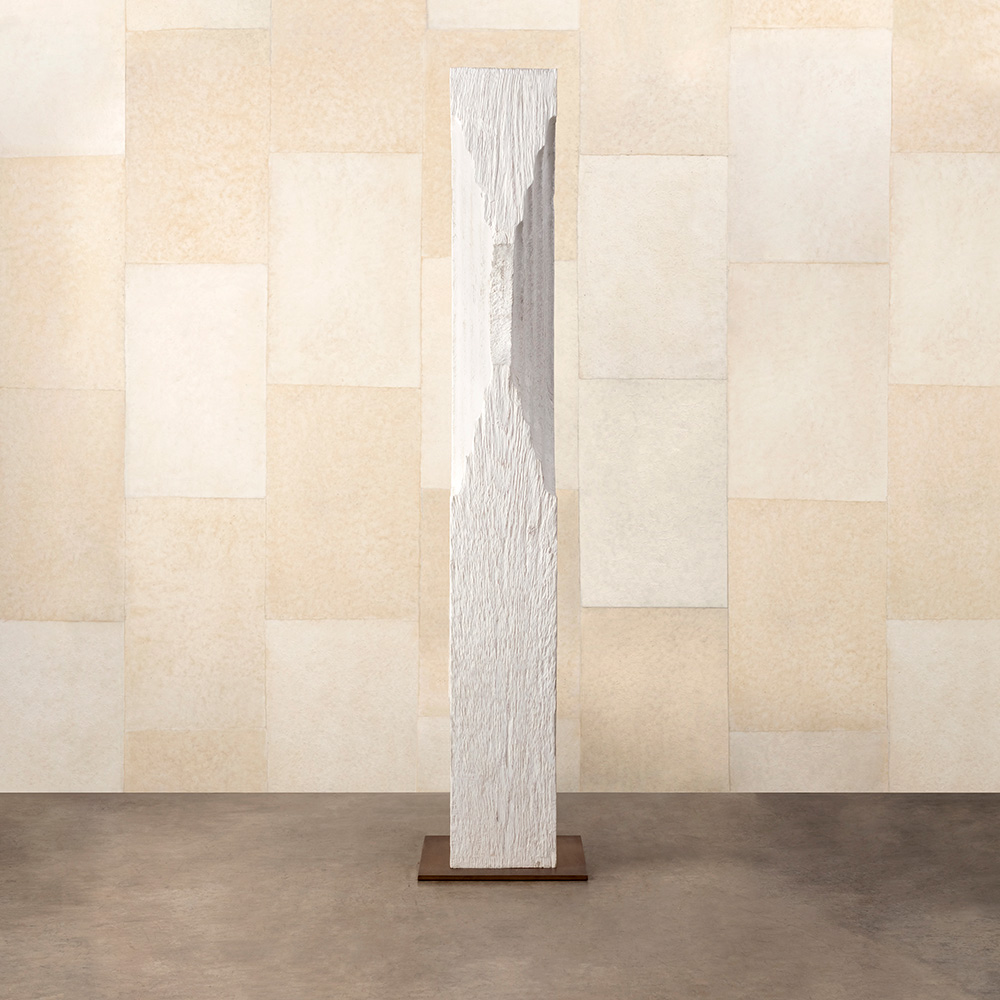ECHO TOTEM image number 4