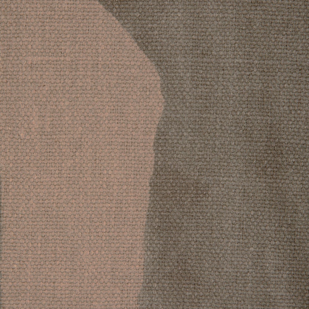 Intargia