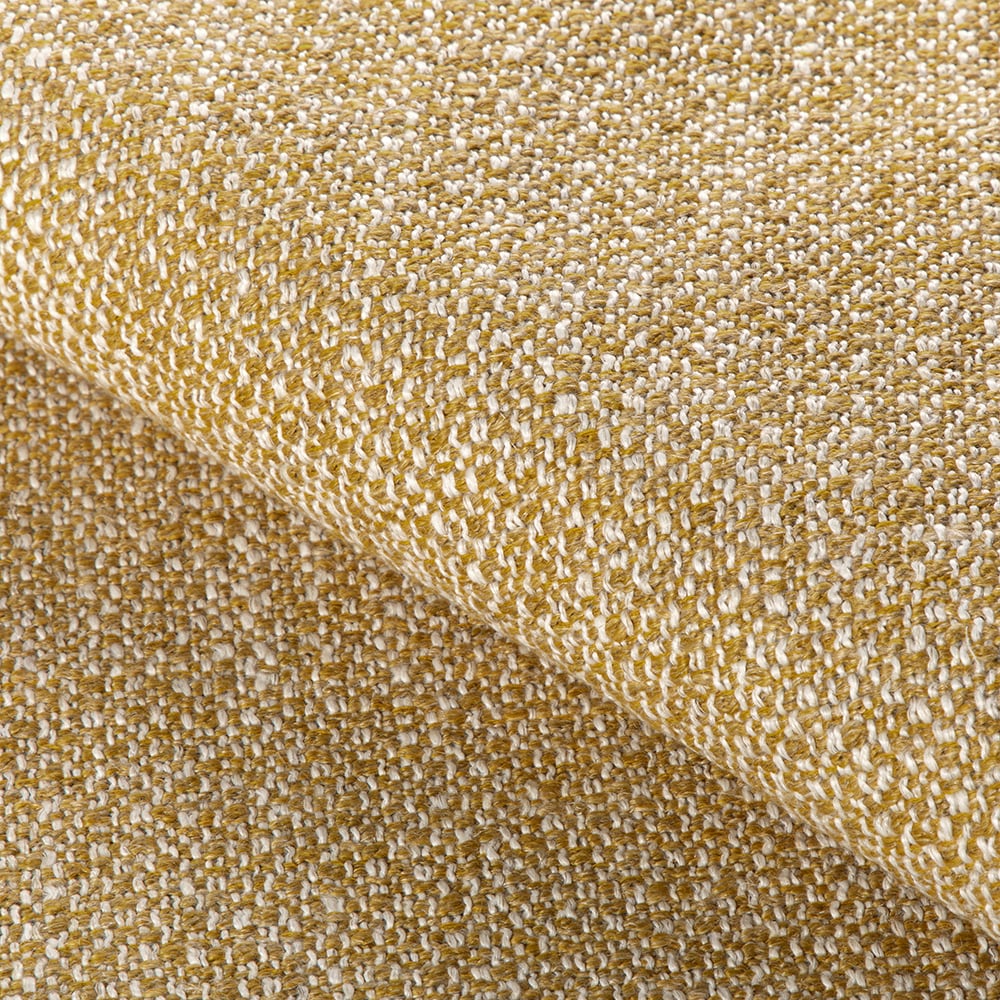 Torus