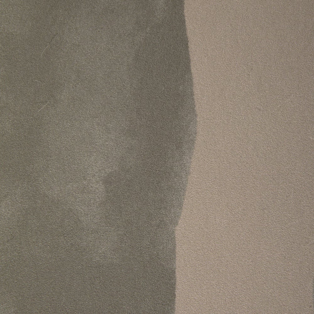 Intargia image number 2