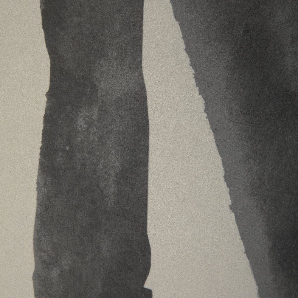Intargia