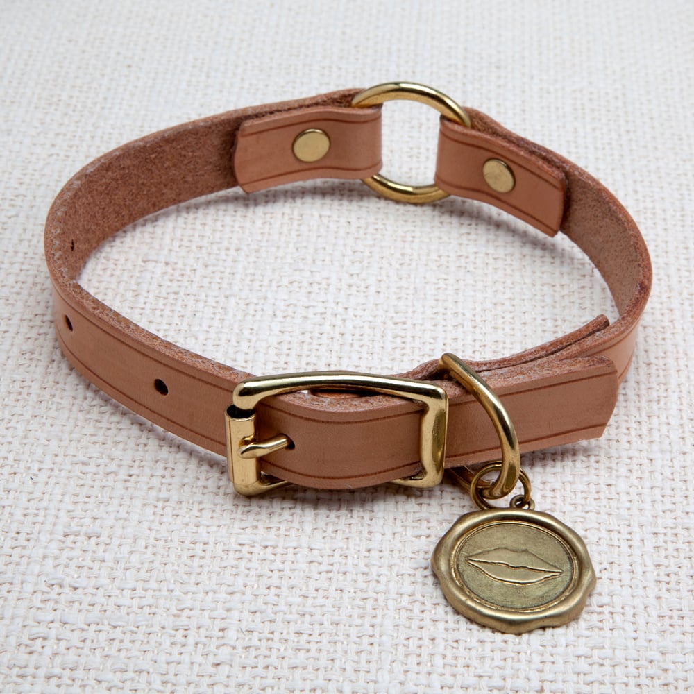 LIAISON DOG COLLAR & TAG SMALL