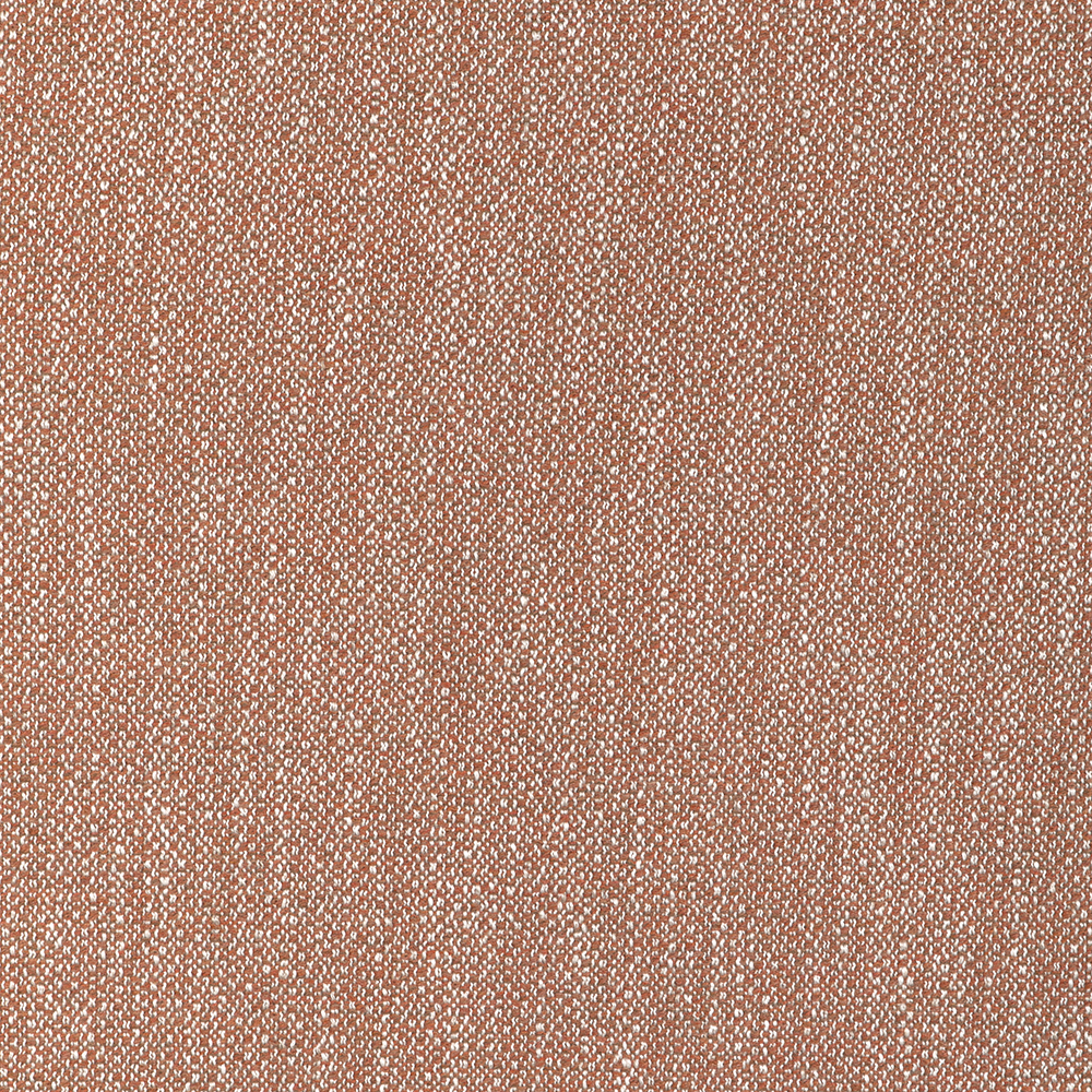 Torus image number 0
