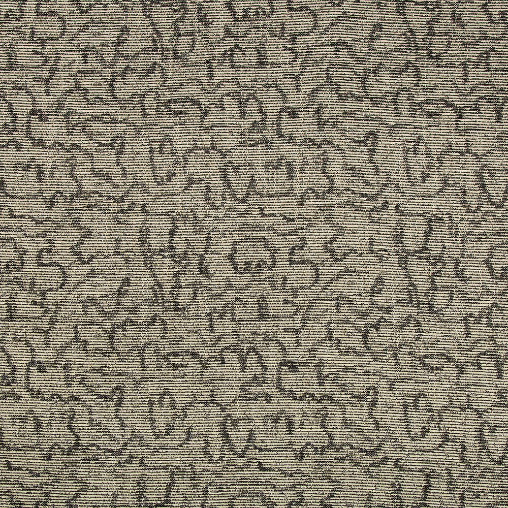crescendo ebony