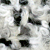 ivory black