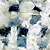 ivory blue