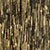 coin onyx