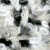ivory black