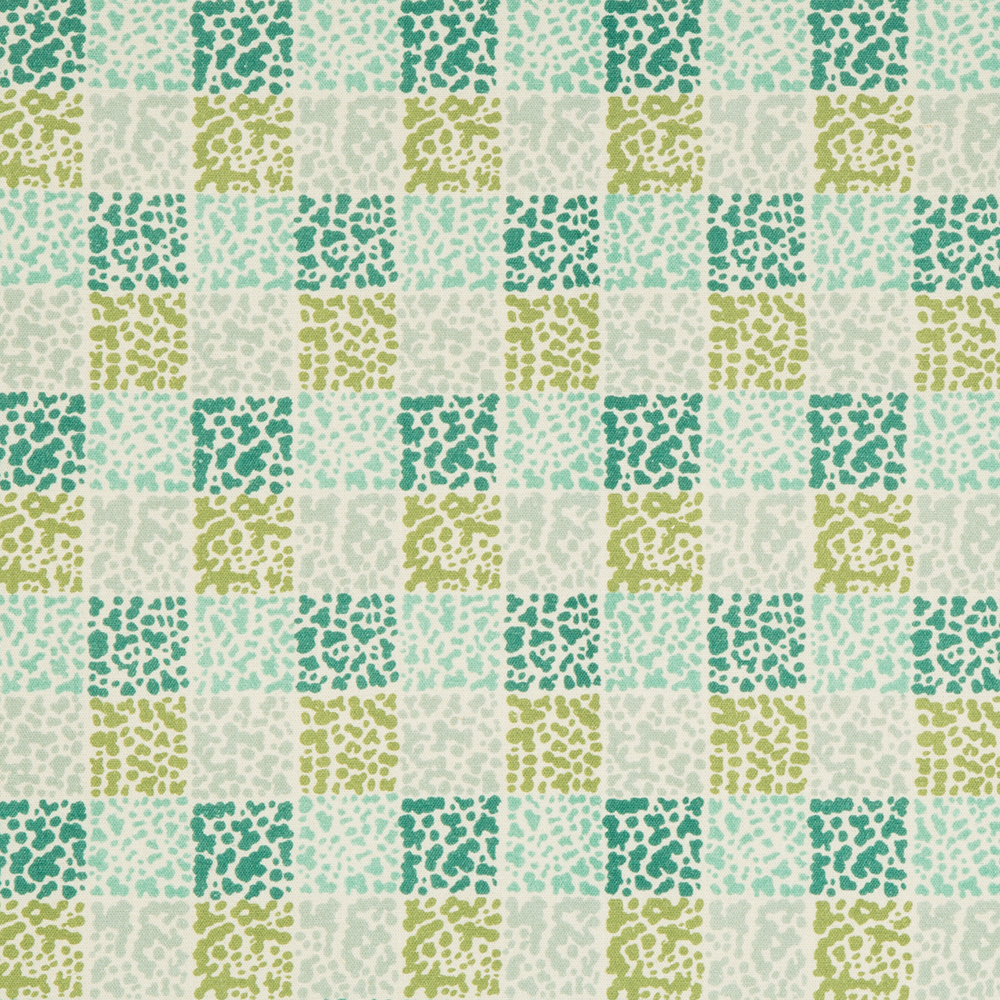 DASH FABRIC