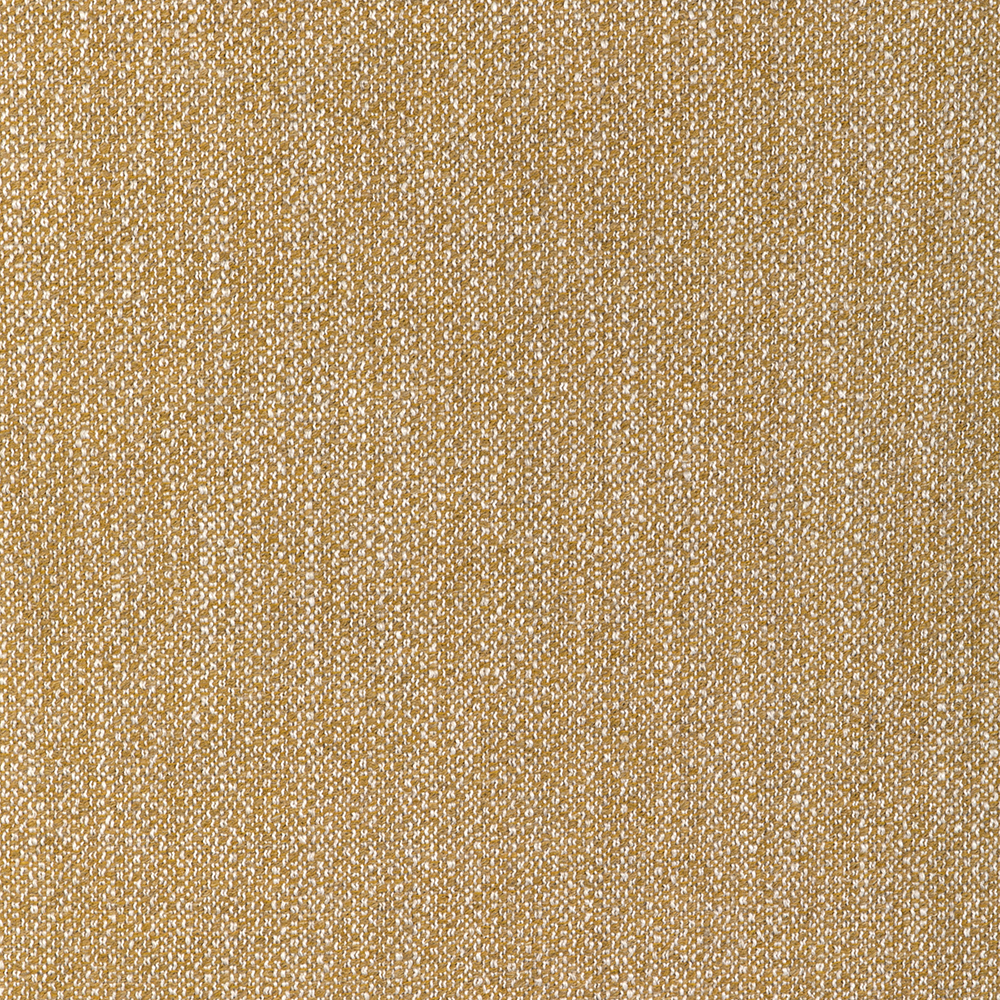 Torus image number 0