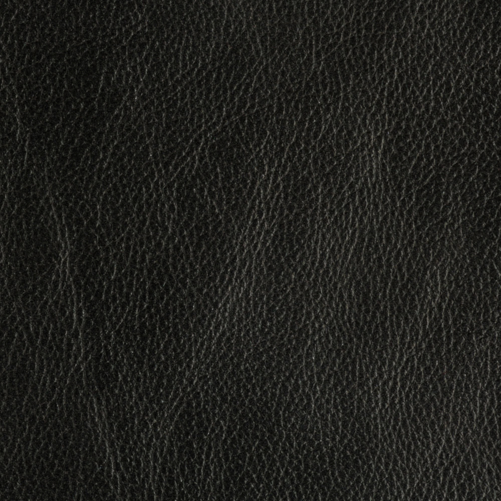 TROPHY LEATHER image number 1