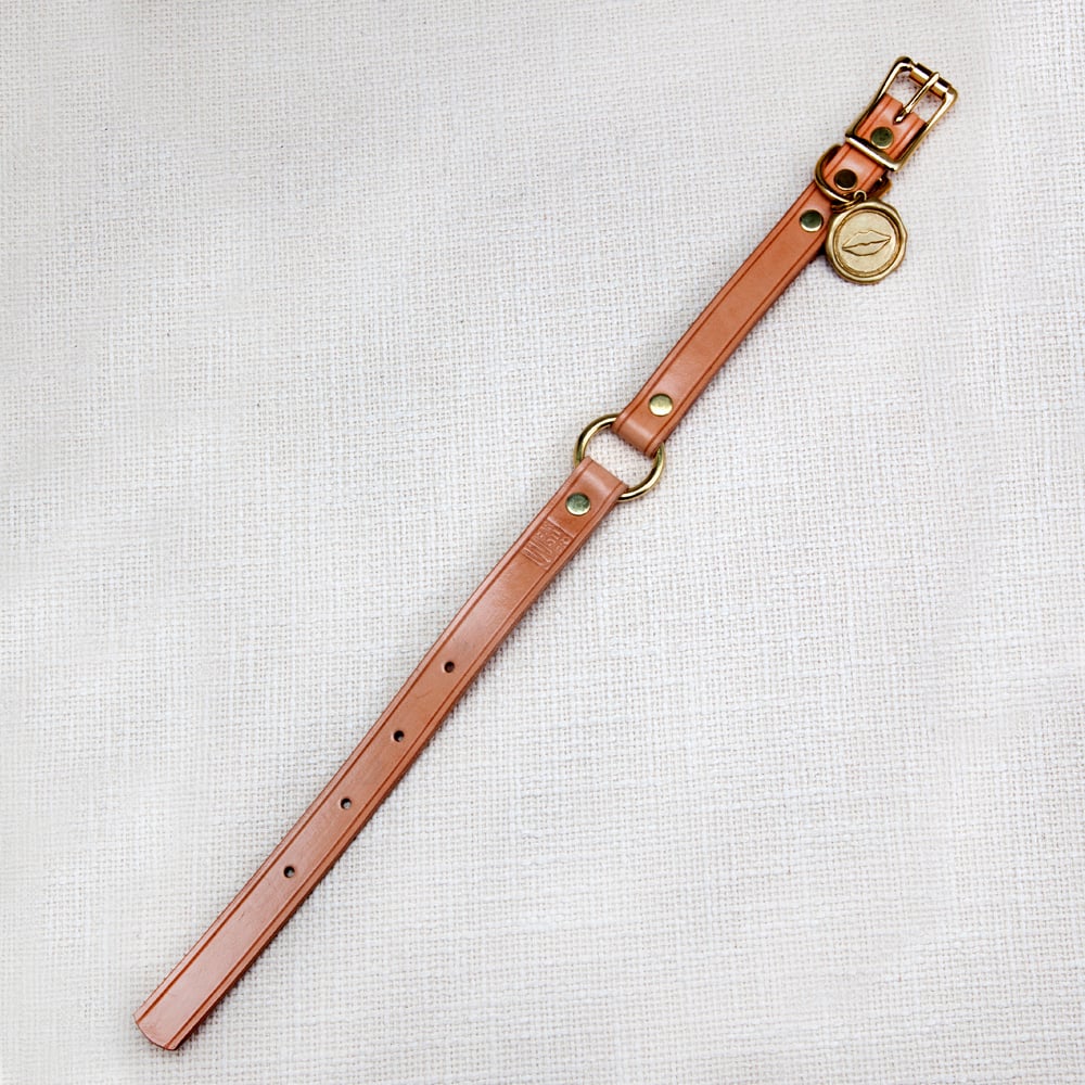LIAISON DOG COLLAR & TAG LARGE image number 2