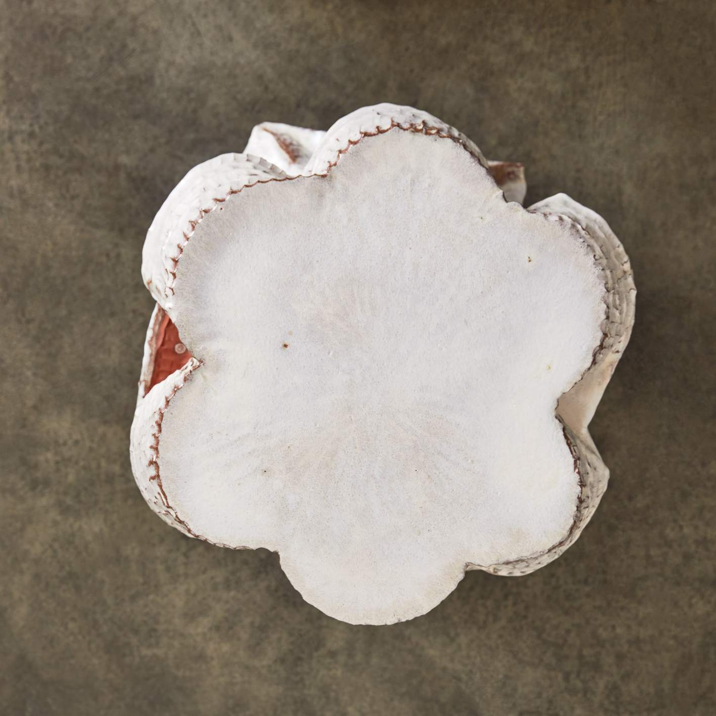 Terra Drinks Table II