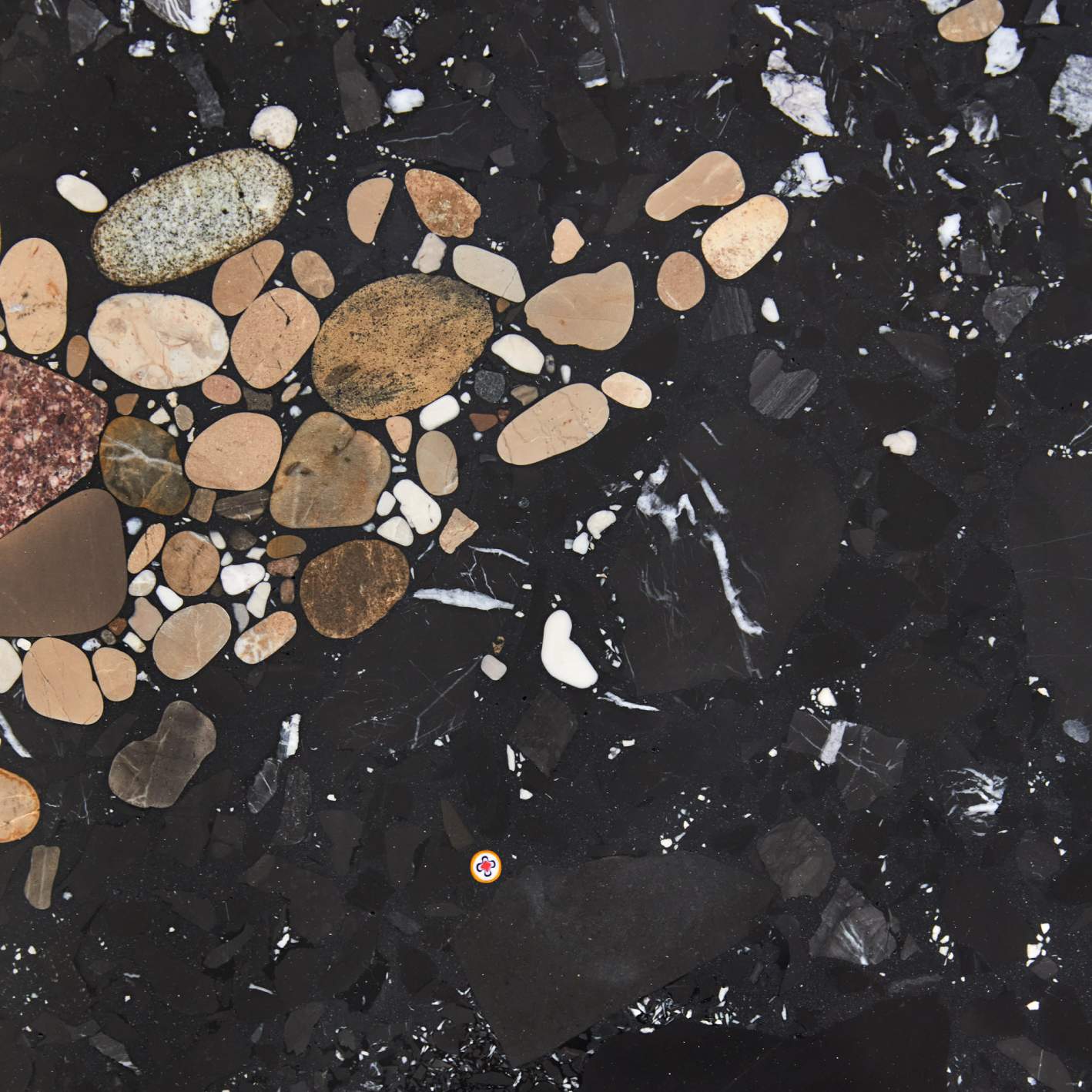 Xenolith - Coffee Table I