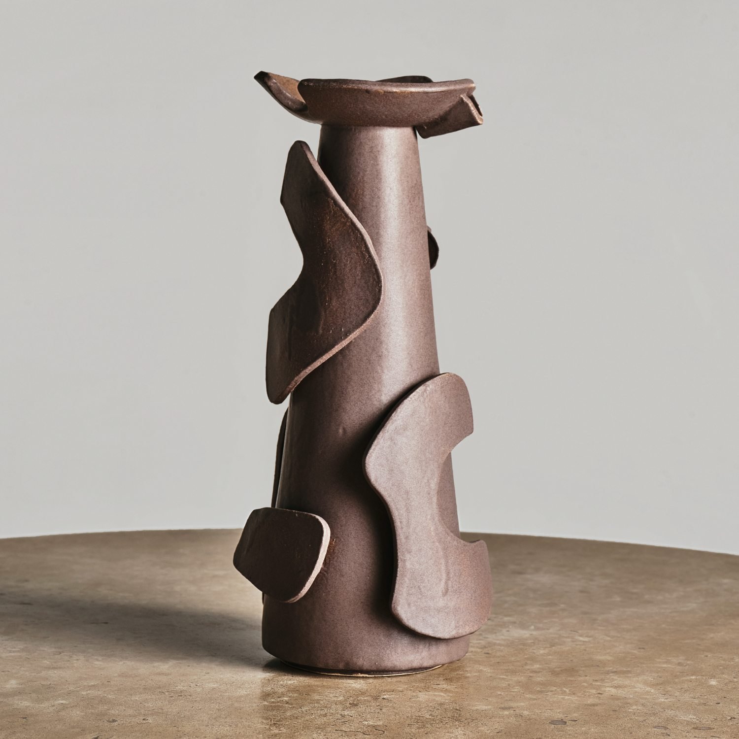 Large Vessel image number 0