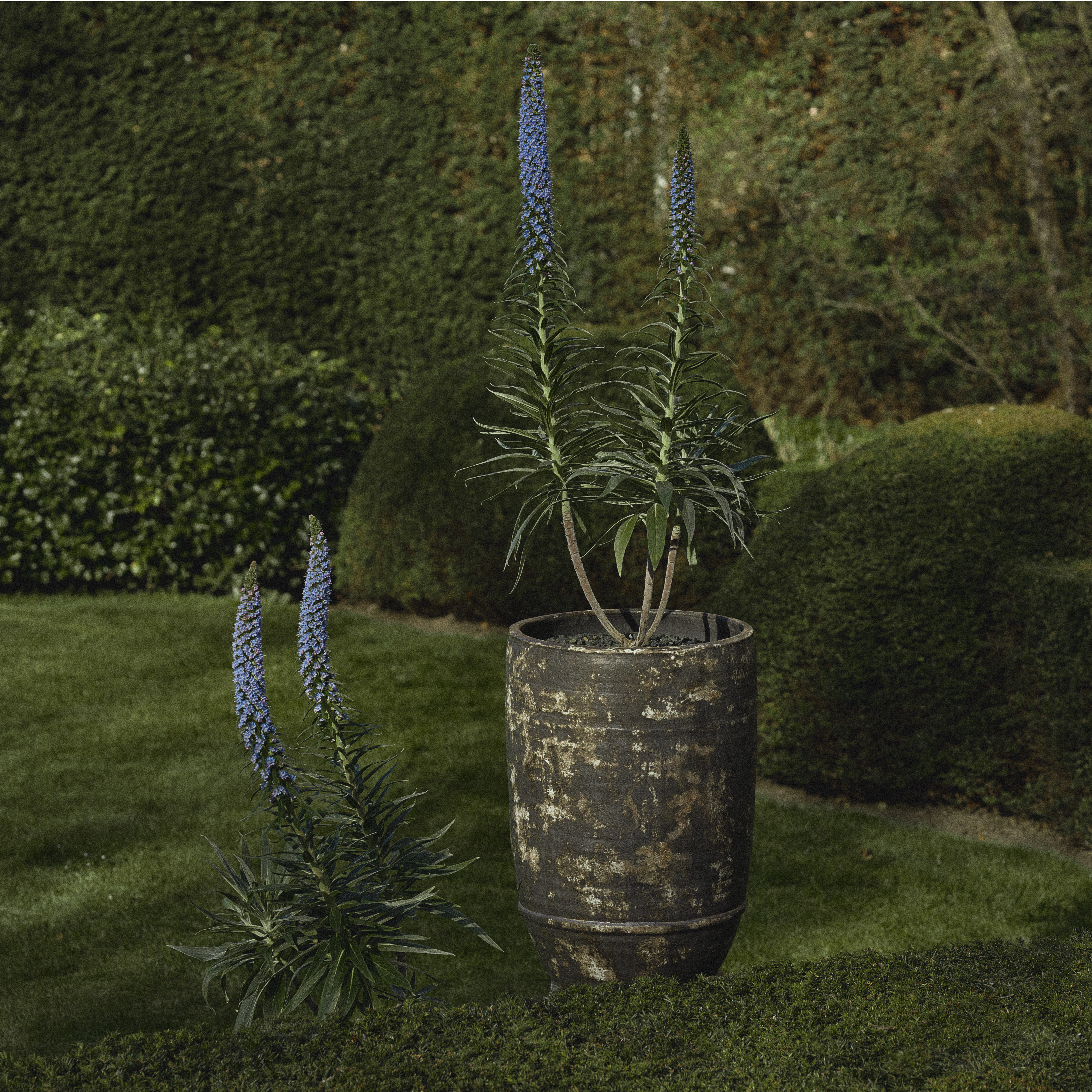 Planter 02 - L image number 1