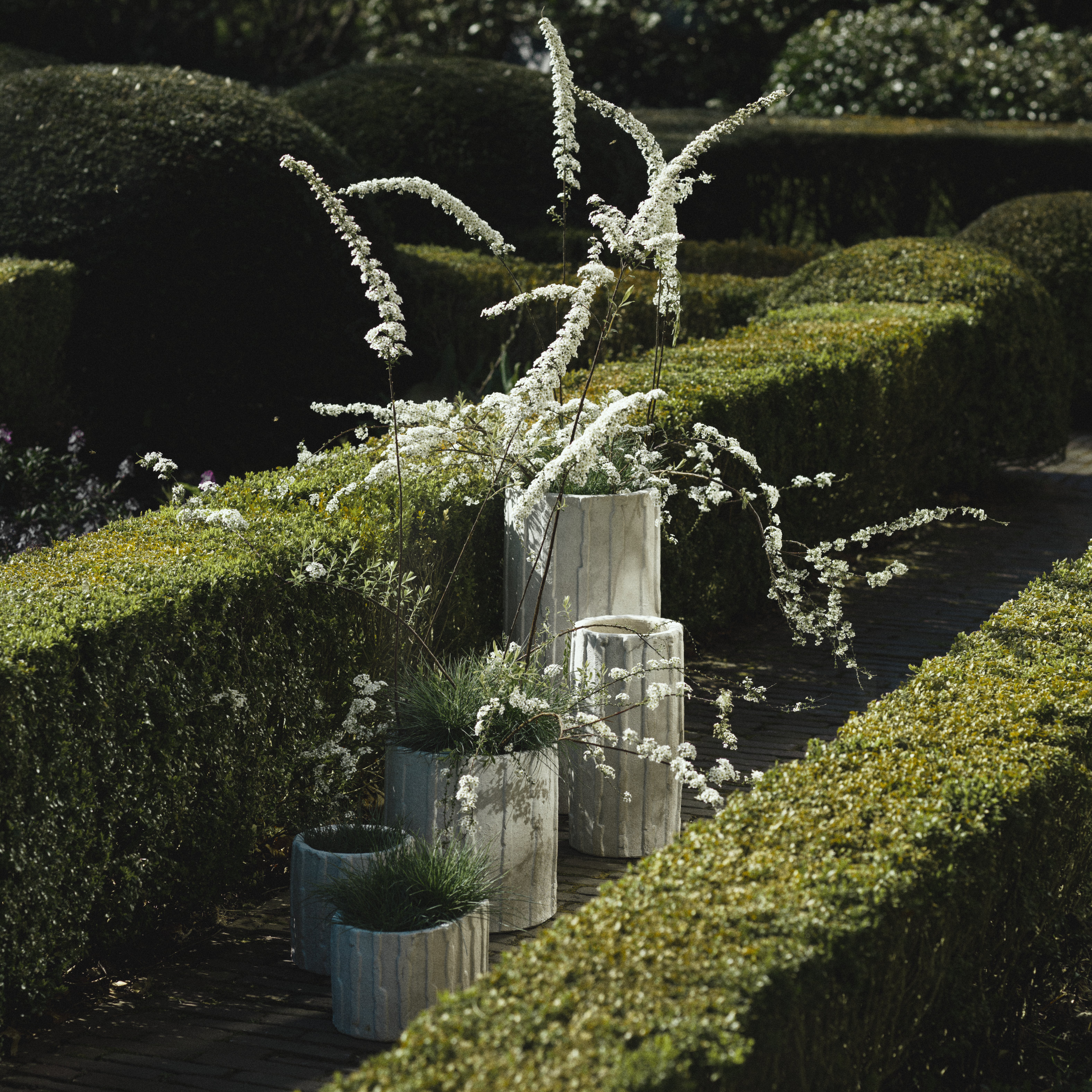 Planter 03 - L image number 2