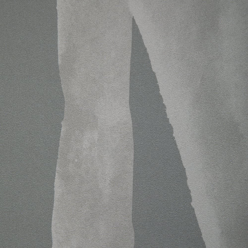 Intargia image number 2