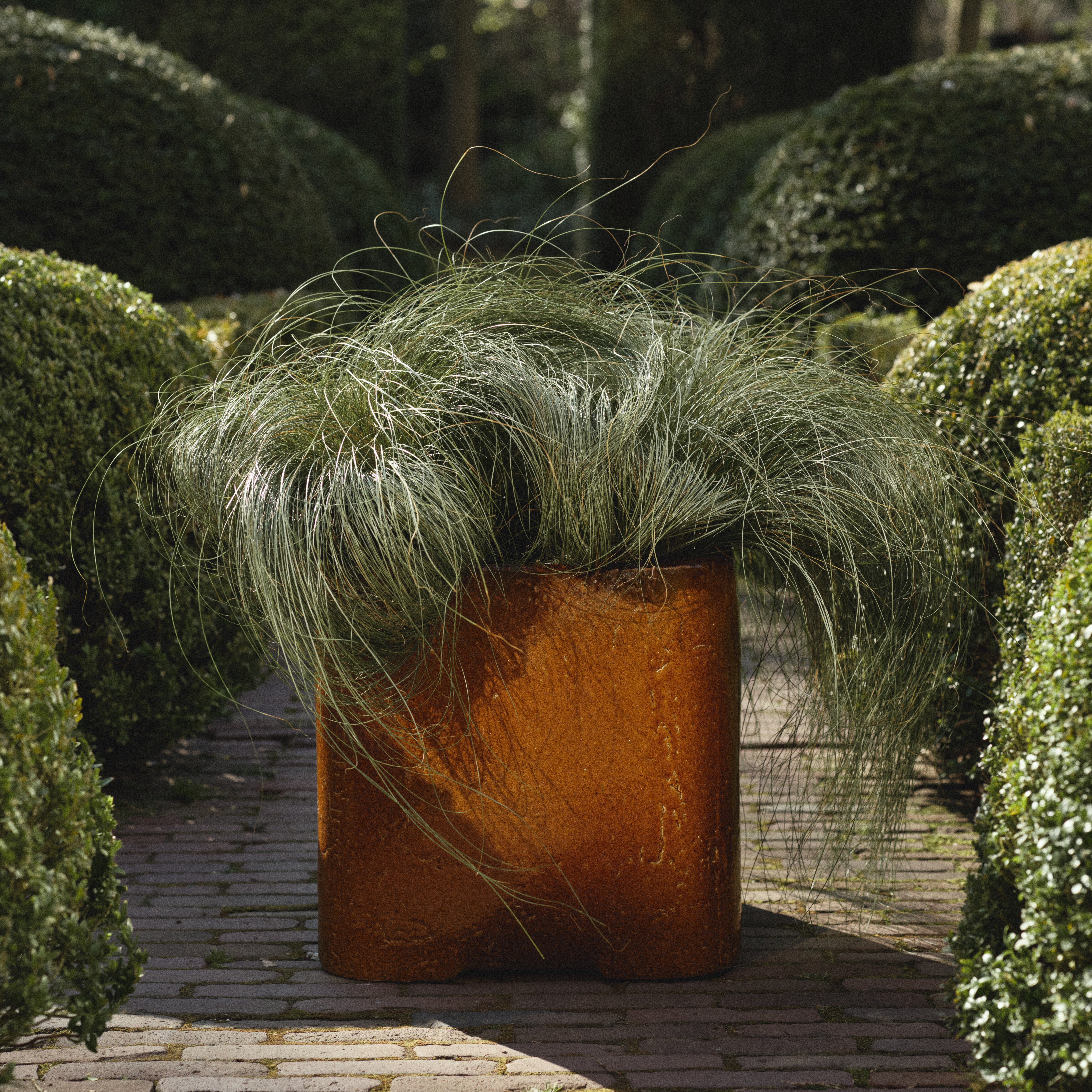 Planter 04 image number 4