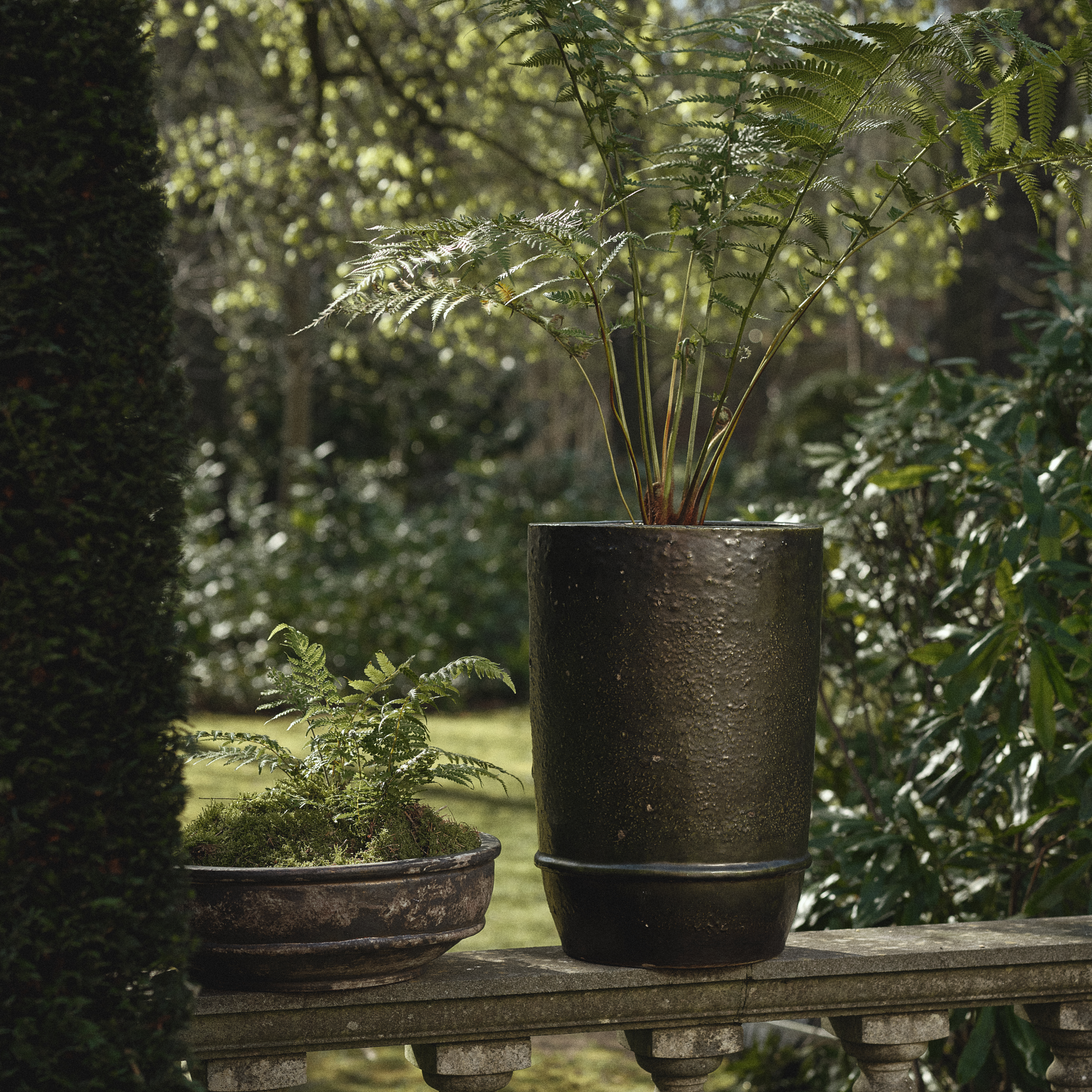 Planter Bowl - S image number 3