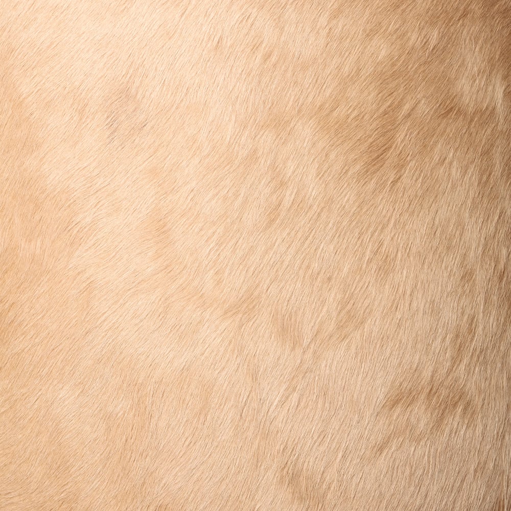 LARCHMONT COUNTER STOOL image number 8