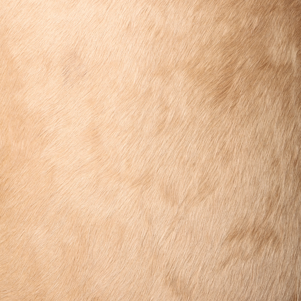 LARCHMONT COUNTER STOOL image number 8